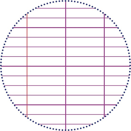 Clairefontaine 8352C - Een Spiraalgebonden Notitieblok - 24x32 cm - 180 Pagina's Kleine Ruitjes - 90g/m² Wit Papier - Cover van Gelamineerd Karton in Willekeurige Kleur