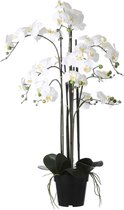 Mica Decorations Phalaenopsis Kunstplant - H97 x Ø19 cm - Plastic Pot - Crème