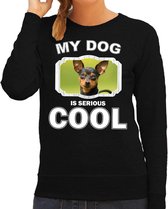 Dwergpinscher honden trui / sweater my dog is serious cool zwart - dames - Dwergpinschers liefhebber cadeau sweaters L