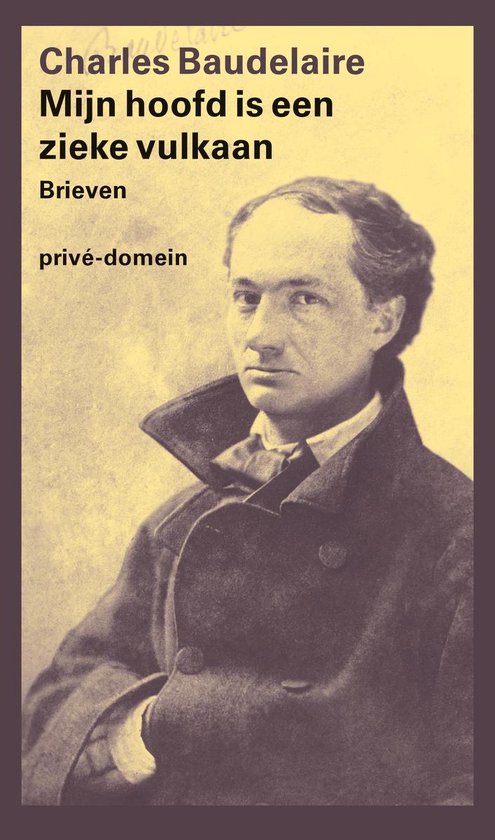 Prive-domein 314 - Mijn hoofd is een zieke vulkaan