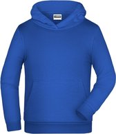 James And Nicholson Kinderen/Kinderen Basic Hoodie (Koninklijk)