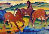Kunstdruk Franz Marc - Die roten Pferde 29,7x21cm