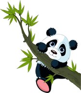 Muursticker Panda sur une branche