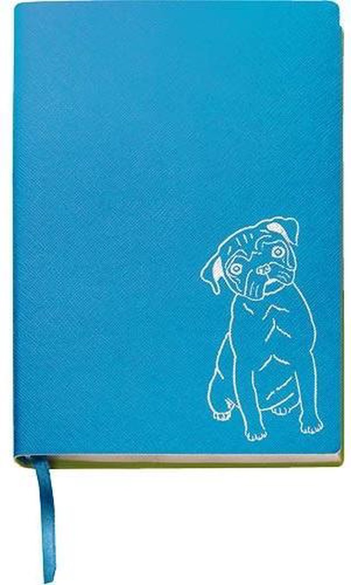 Cedon Notitieboek Met Leeslint Luxe A5 Karton/papier Blauw