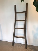 Bewonen Teun badkamer decoratie ladder 150cm