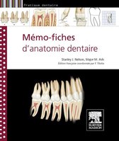M mo-fiches d'anatomie dentaire