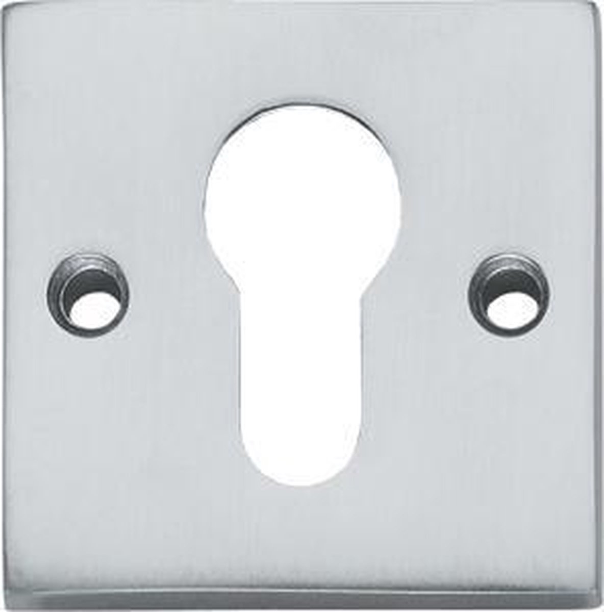 Intersteel Rozet profielcilindergat vierkant groot chroom mat