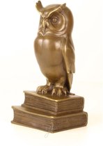 De wijze uil - Bronzen beeldje - Dierenrijk - 22,2 cm hoog