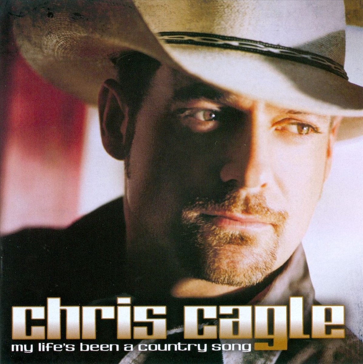 My Life's Been A Country Song