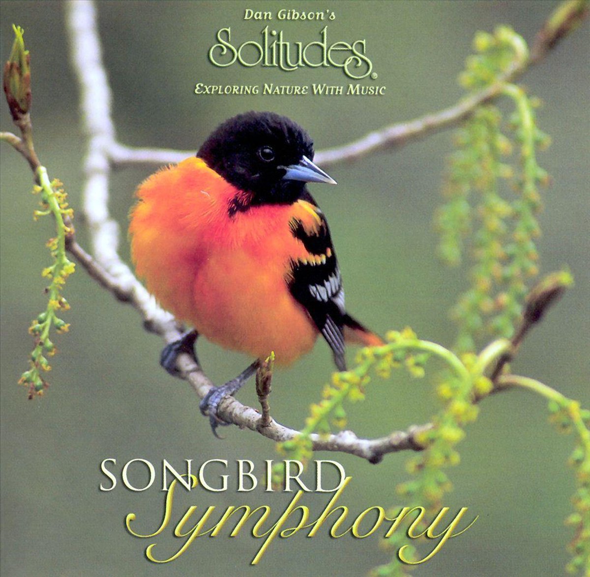 Songbird Symphony