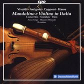 Mandolino E Violino in Italia