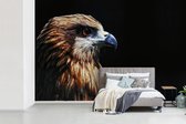 Fotobehang vinyl - Close-up adelaar tegen zwarte achtergrond breedte 450 cm x hoogte 300 cm - Foto print op behang (in 7 formaten beschikbaar)