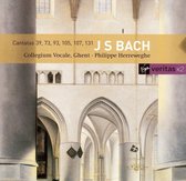 Bach : Cantatas