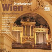 Organ Landscapes:Wien