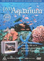Aquarium - Aquarium