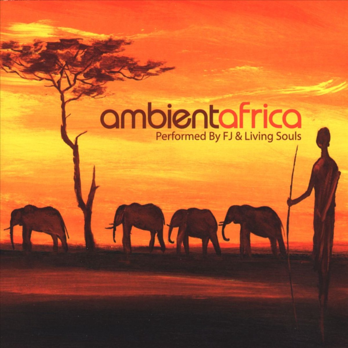 Ambient Africa