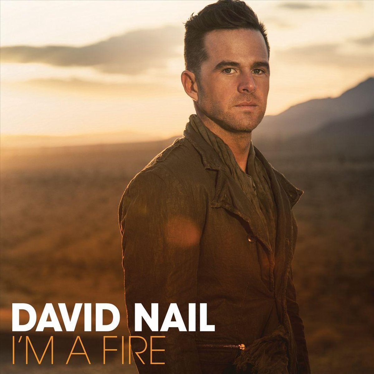 Nail David - I'm A Fire