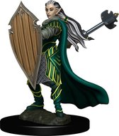 Dungeons and Dragons: Icons of the Realms - Elf Paladin Female