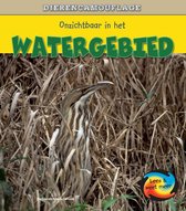 Dierencamouflage  -   Onzichtbaar in het watergebied