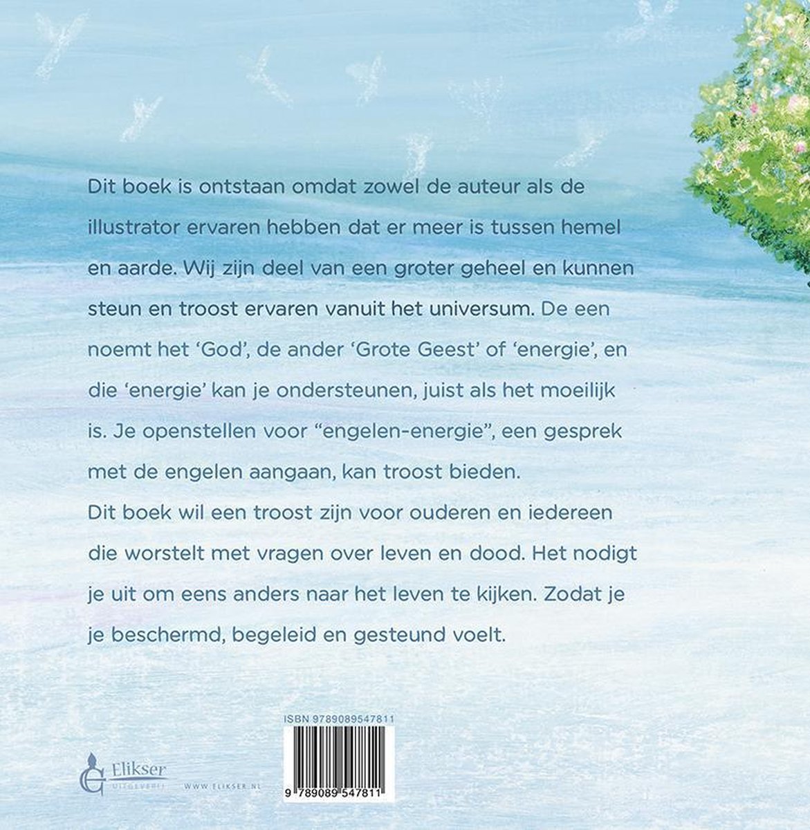Bloesems in de winter - back cover