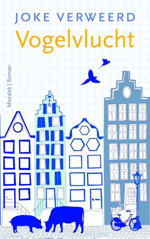 Vogelvlucht - cover