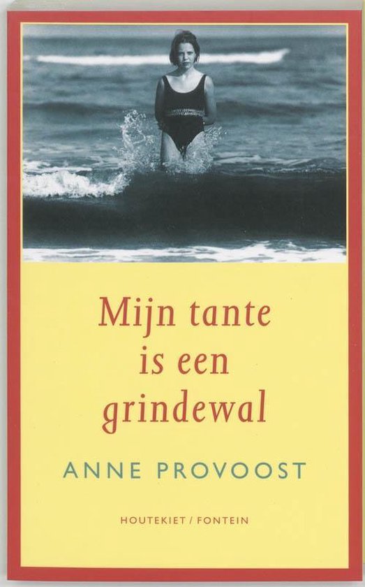Cover van het boek 'Mijn tante is een grindewal' van Anne Provoost