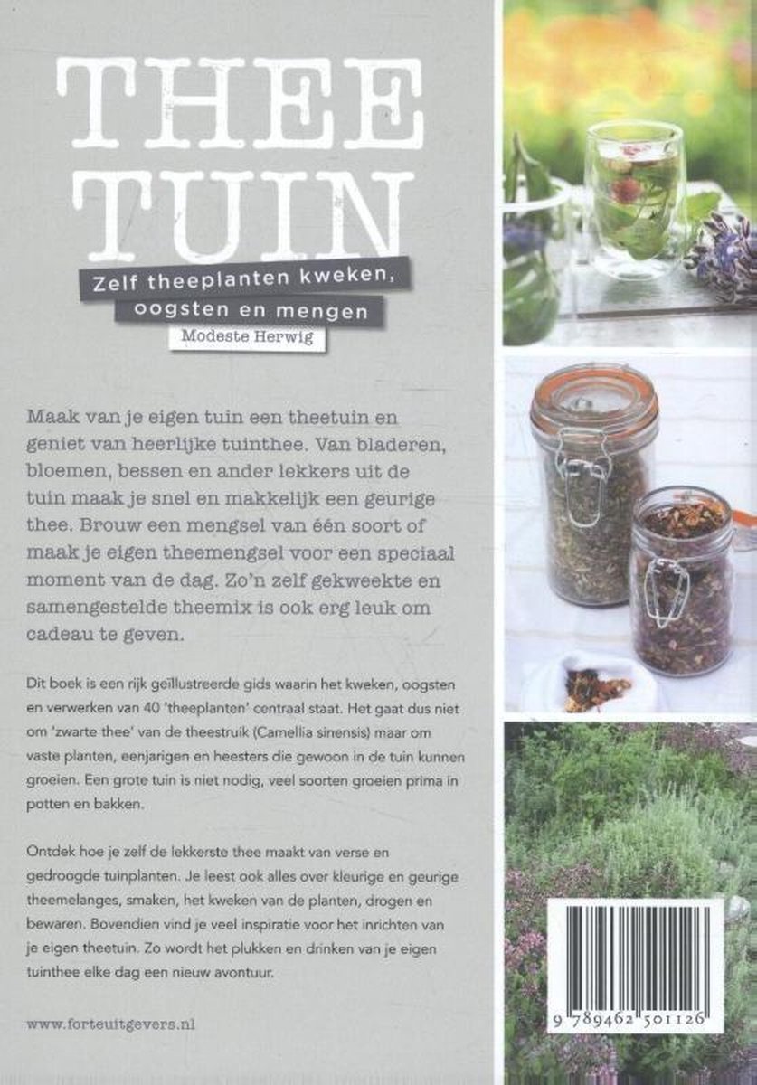 Boekomslag met de titel 'Thee Tuin' en tekst over het zelf kweken van theeplanten. Inclusief afbeeldingen van potten met gedroogde kruiden en een glas thee.