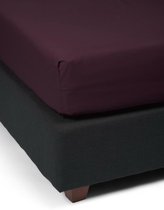 ESSENZA Premium Percale Hoeslaken Burgundy - 100x200