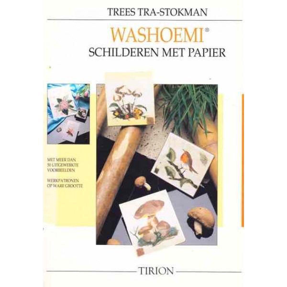 eb beha uitzondering Washoemi schilderen met papier, Trees Tra-Stokman | 9789051214901 | Boeken  | bol.com