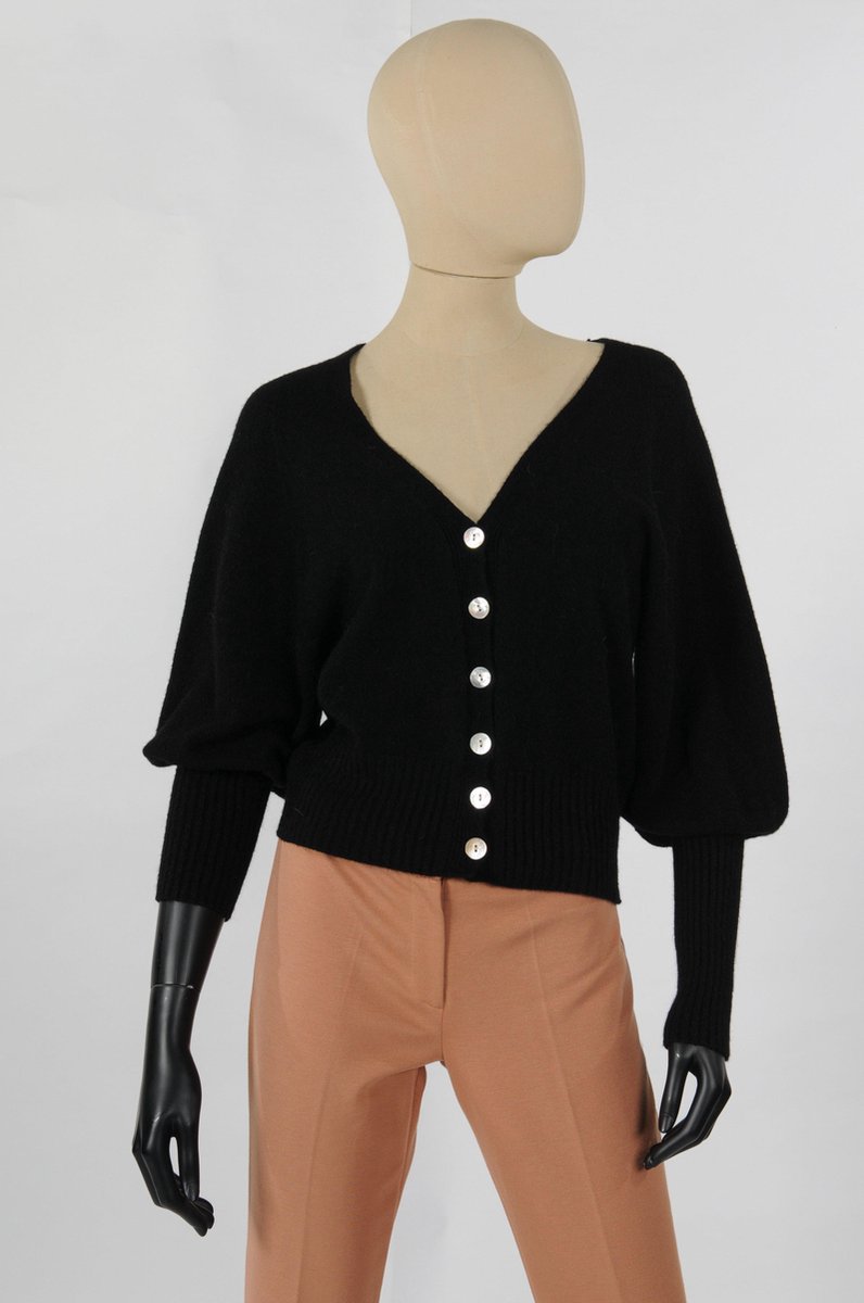 Alexandre Laurent Gilet NOIR bol