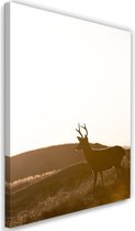 Schilderij Eenzaam hert, 2 maten, bruin/wit, Premium print