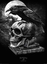 Pyramid Alchemy Poes Raven  Poster - 61x91,5cm