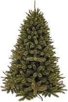 Kerstboom Forest Frosted 215 cm groen - triumph tree