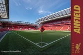 Liverpool FC Poster - Anfield - 61 X 91.5 Cm - Multicolor