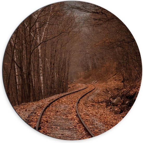 Dibond Wandcirkel - Treinspoor met Blaadjes door de Bergen - 70x70cm Foto op Aluminium Wandcirkel (met ophangsysteem)