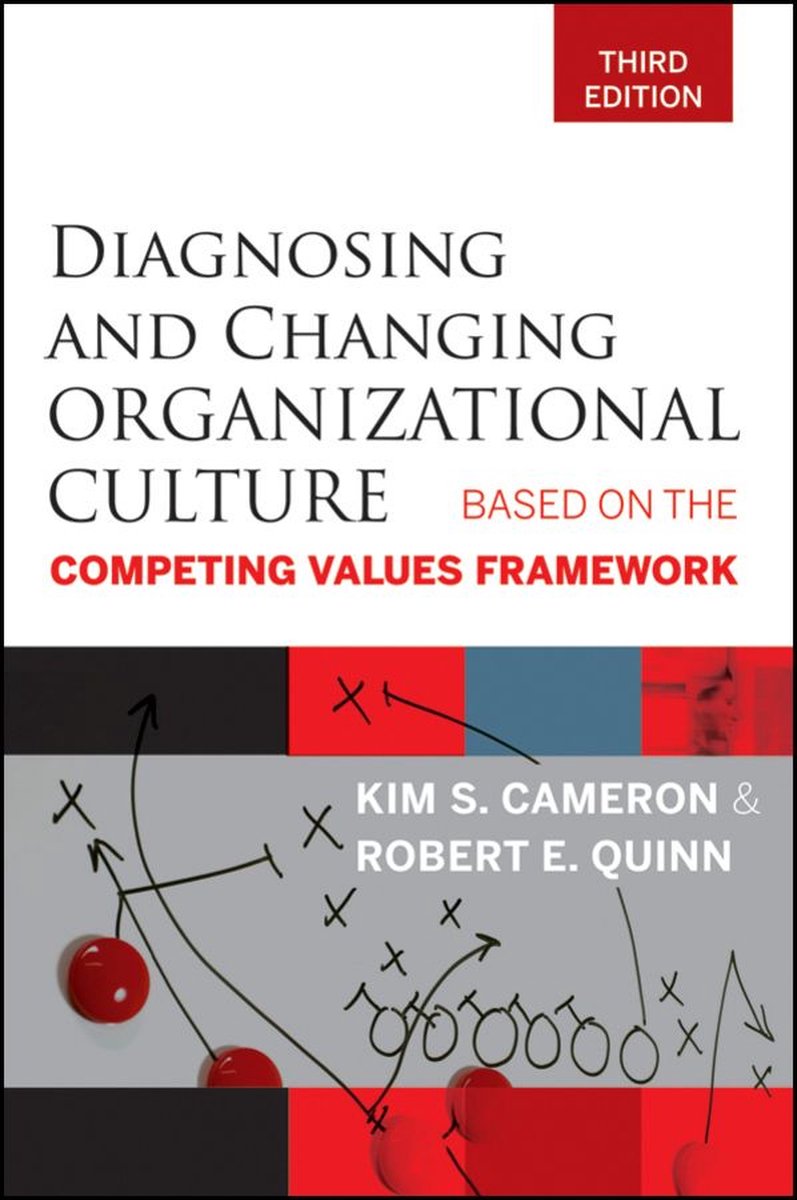 Omslag van Diagnosing and Changing Organizational Culture
