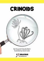 Paleontology For Kids - Crinoids