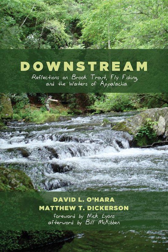 Downstream - cover