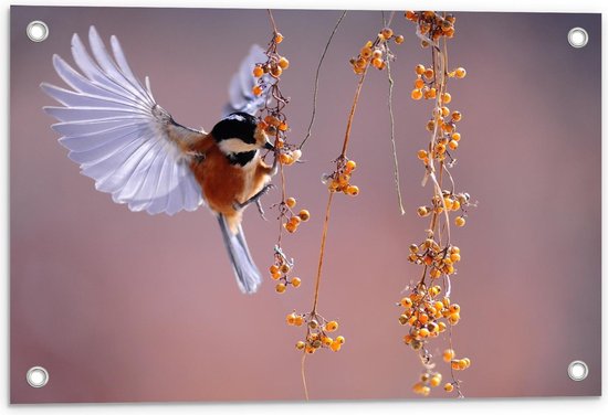 Tuinposter – Klein Vogeltje Etend van een Takje  - 60x40cm Foto op Tuinposter  (wanddecoratie voor buiten en binnen)