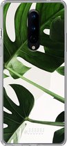 OnePlus 8 Hoesje Transparant TPU Case - Tropical Plants #ffffff