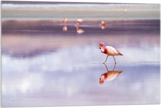 Acrylglas - Flamingo's in het Paarse Water - 90x60cm Foto op Acrylglas (Wanddecoratie op Acrylglas)