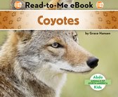 Animals of North America - Coyotes