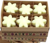 Geschenkset van 6 Wax Melts - Citroenoogst