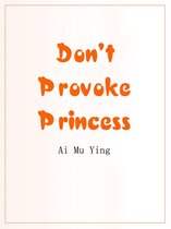 Volume 2 2 - Don't Provoke Princess