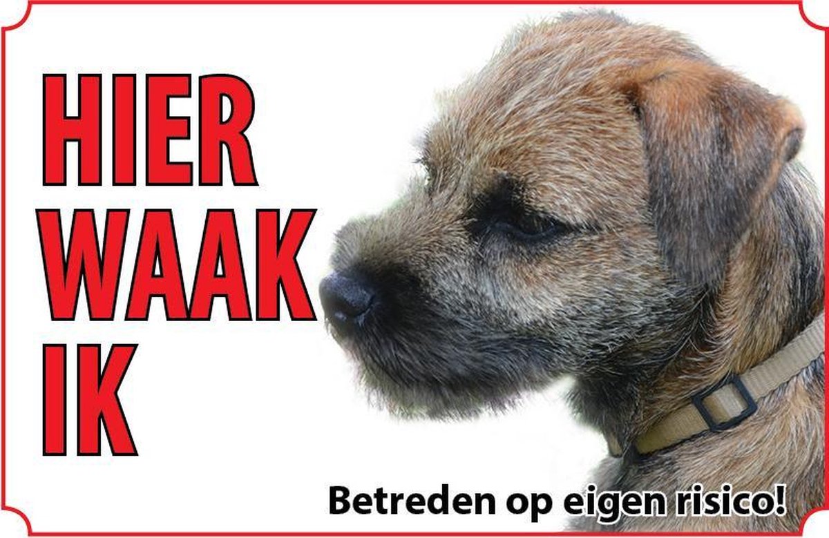 Bord Borderterriër