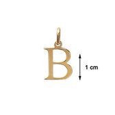 Blinx Jewels Vergulden Hanger Letter B