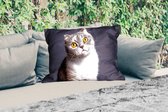 Coussins d'extérieur - Chat - Yeux - Clair - 60x40 cm - Résistant aux intempéries