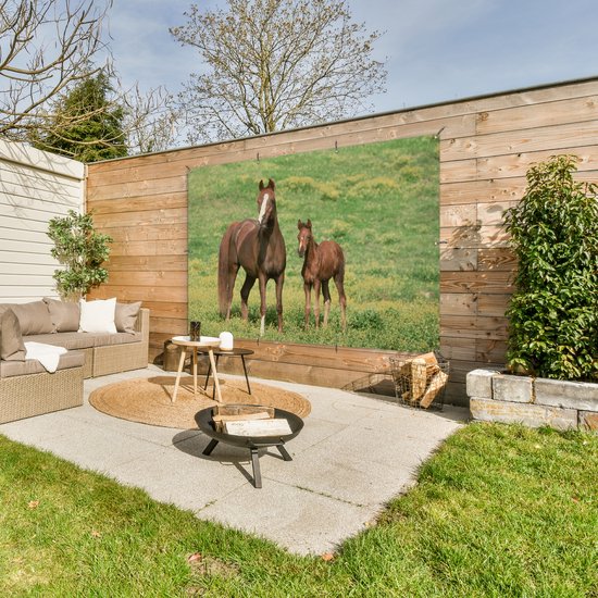Décoration murale murale Paarden - Herbe - Marron - 180x120 cm - Affiche de jardin - Toile de jardin - Poster extérieur
