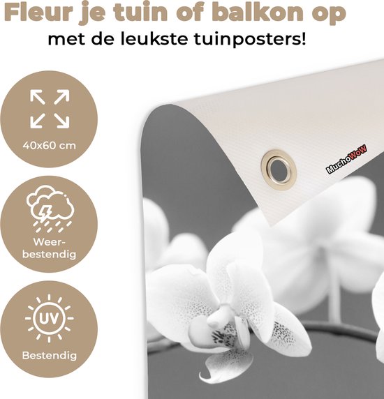 Décoration de jardin Orchidée - Fleurs - Plante - Wit - Violet - 40x60 cm - Poster jardin - Toile jardin - Poster extérieur