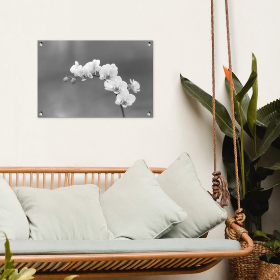 Décoration de jardin Orchidée - Fleurs - Plante - Wit - Violet - 60x40 cm - Poster jardin - Toile jardin - Poster extérieur